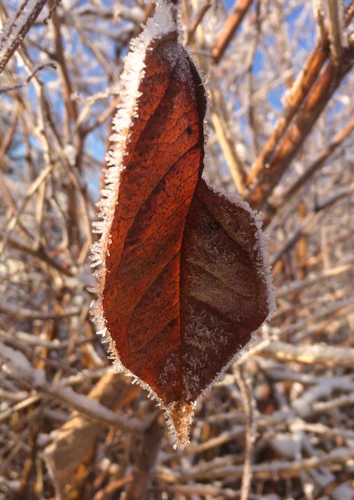 align, ground & surround