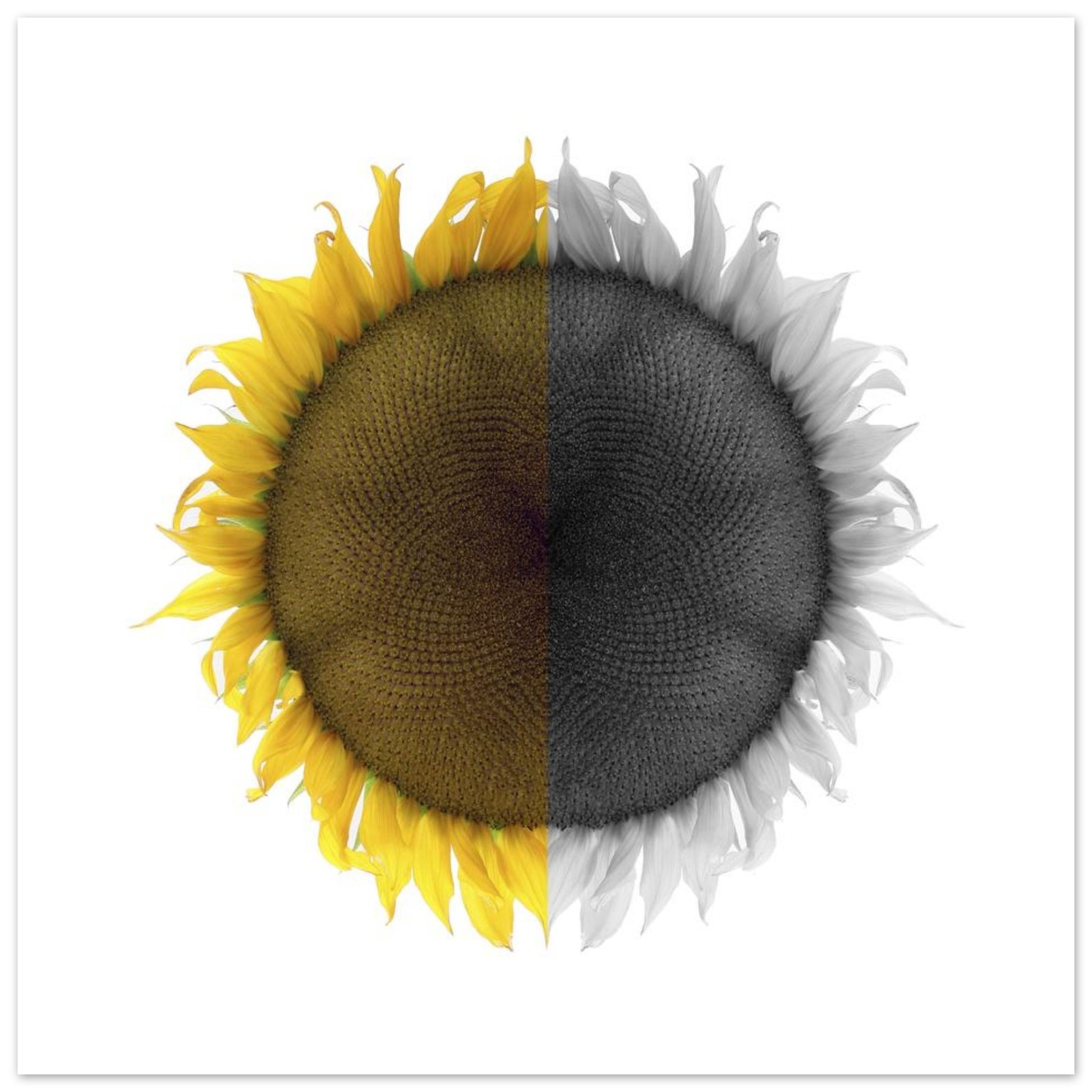 37fb2de3-486c-4acc-9e74-0a44637d2e31