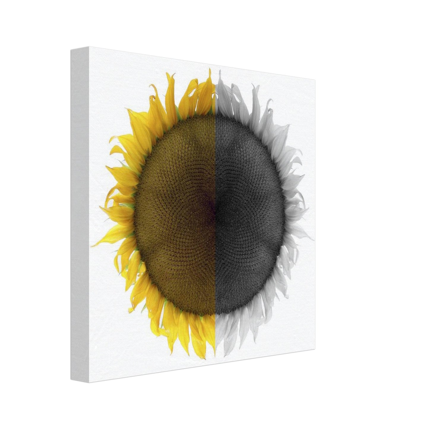 38445d12-f30e-4efe-a96b-cf370c296f23