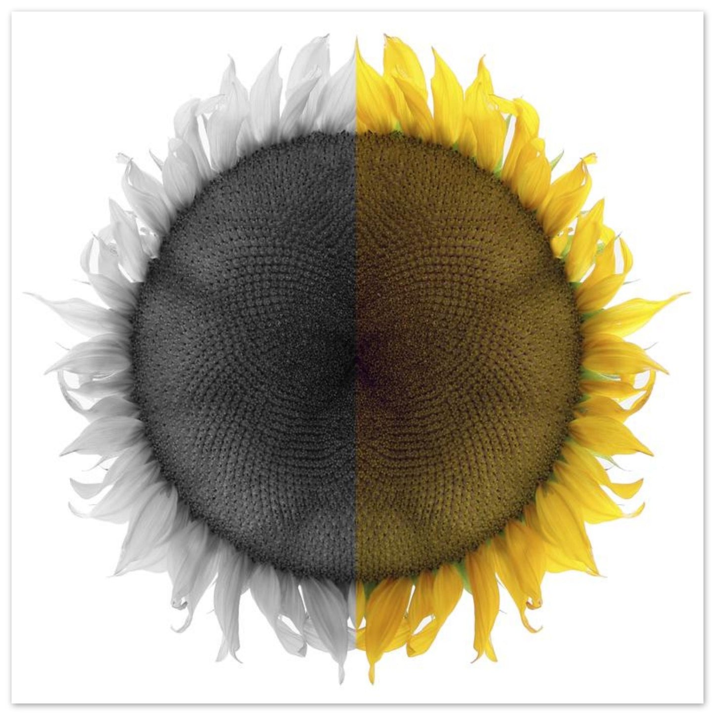 7ee73d7b-7279-45b7-8a03-3e6e0daa7dcb