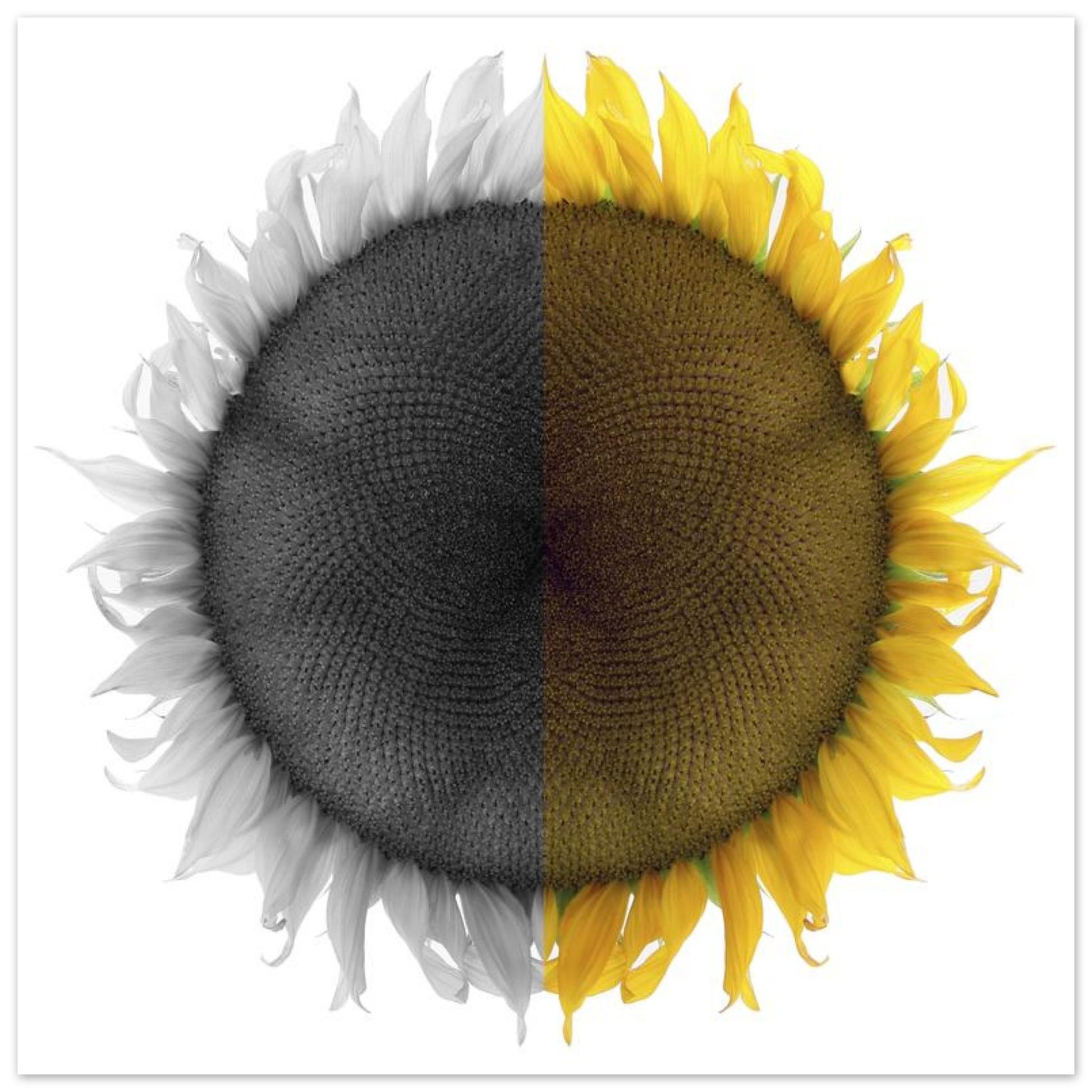 7ee73d7b-7279-45b7-8a03-3e6e0daa7dcb