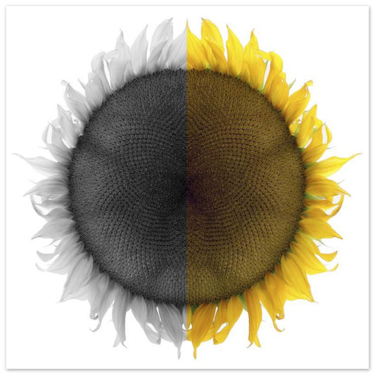 7ee73d7b-7279-45b7-8a03-3e6e0daa7dcb