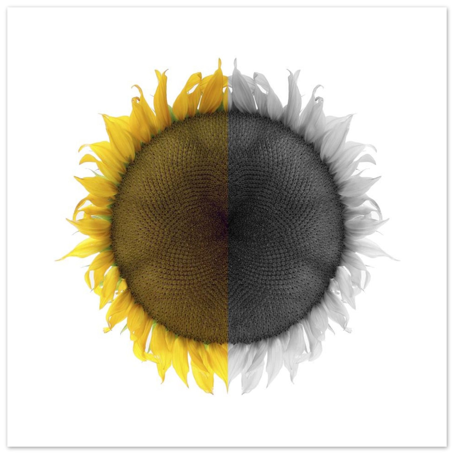 e92989dc-b102-4239-b58d-aaa6306da629