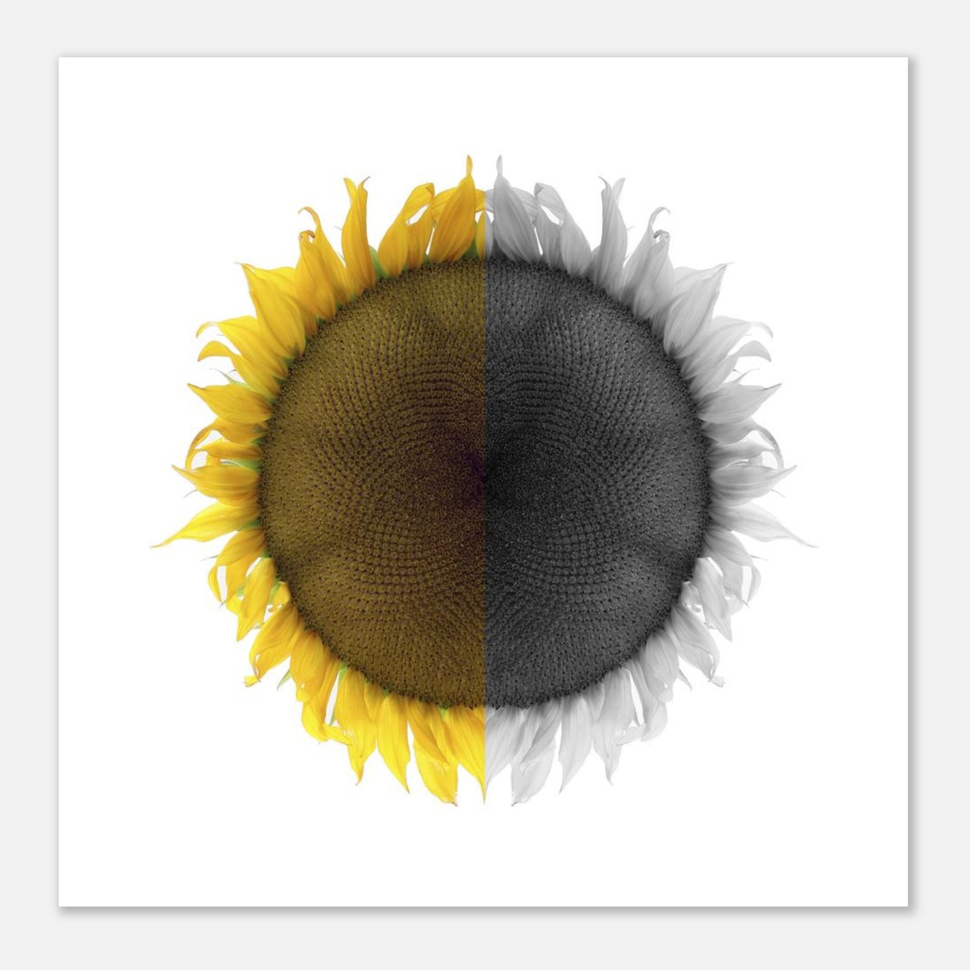 fa730956-c80a-4e03-973c-cd460d2d0e17